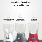 Electrolytic Ozone Water Denture Cleaner