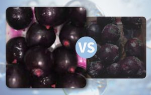 Grapes washing test by ozone water compared wit...
