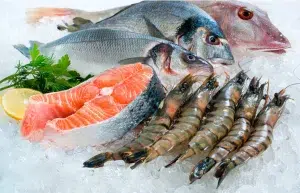 Using ozone technology to extend seafood freshn...