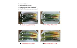 Observation on the effects of different washing...